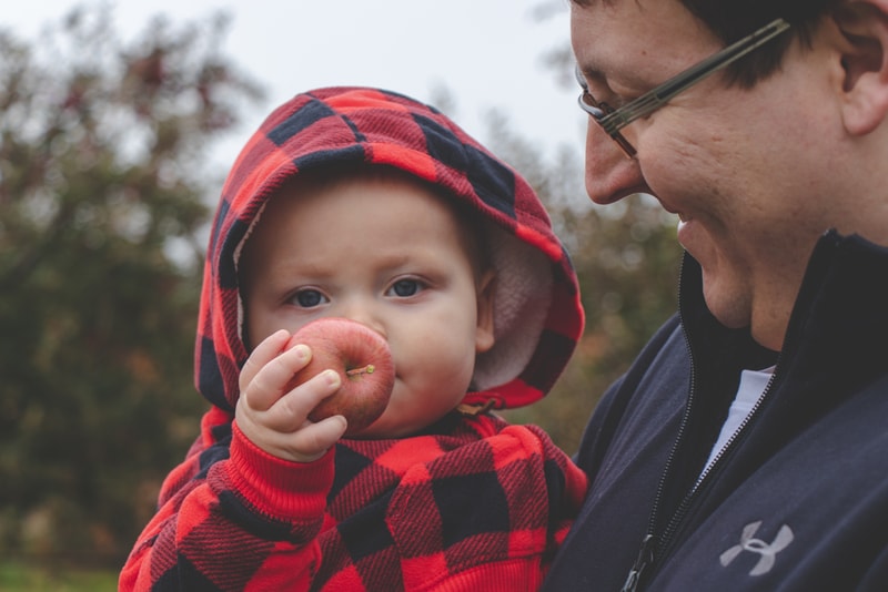 Father and toddler sharing apple during autumn family portrait session in Madison, Wisconsin
