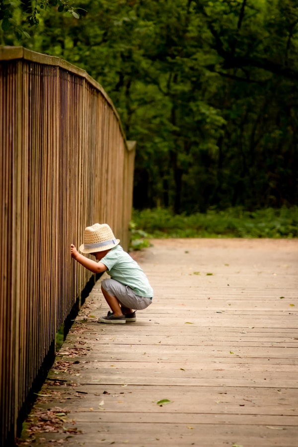 Curious toddler in sun hat exploring wooden bridge during milestone portrait session in Madison, Wisconsin