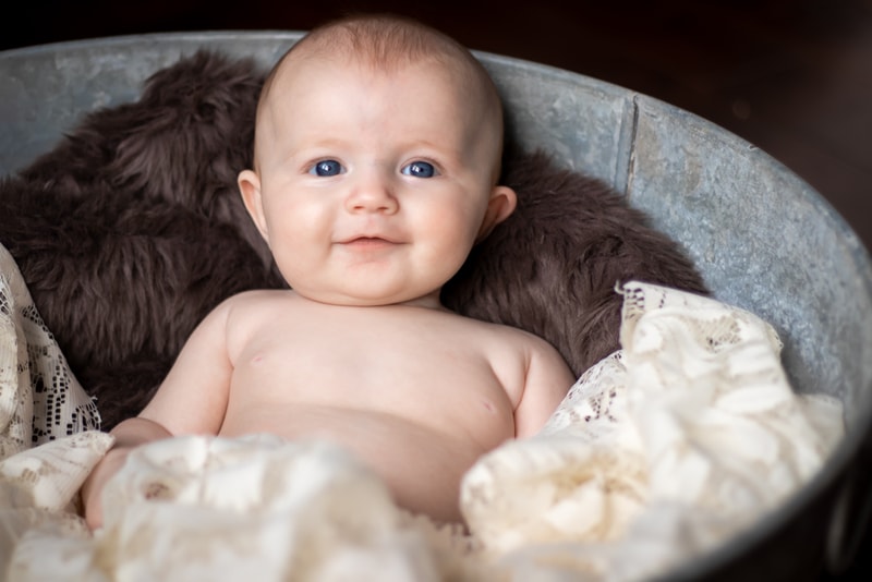 Sweet baby milestone portrait in vintage metal tub with cream lace, Madison Wisconsin photography session